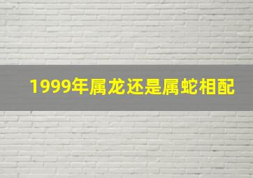 1999年属龙还是属蛇相配