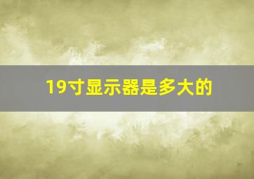 19寸显示器是多大的