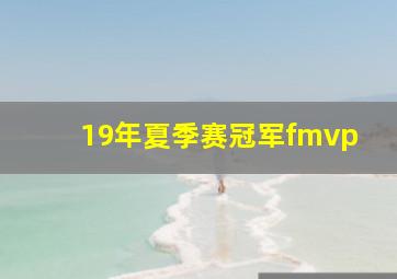 19年夏季赛冠军fmvp