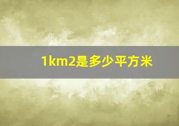 1km2是多少平方米