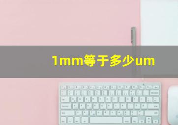 1mm等于多少um