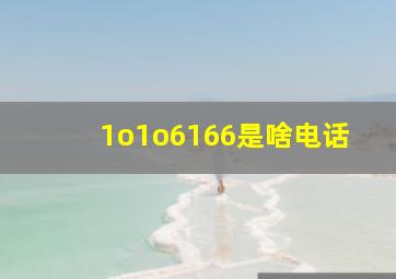 1o1o6166是啥电话