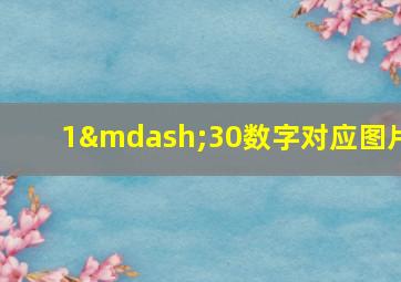 1—30数字对应图片