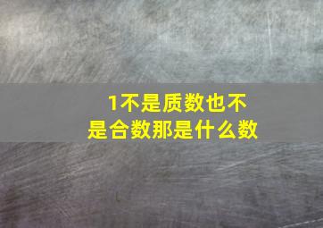 1不是质数也不是合数那是什么数