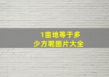 1亩地等于多少方呢图片大全