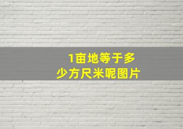 1亩地等于多少方尺米呢图片