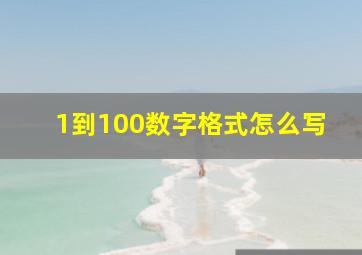 1到100数字格式怎么写