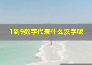 1到9数字代表什么汉字呢