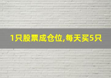 1只股票成仓位,每天买5只