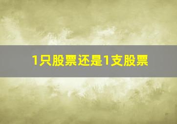 1只股票还是1支股票