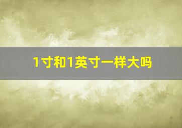 1寸和1英寸一样大吗