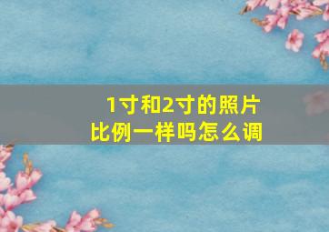 1寸和2寸的照片比例一样吗怎么调