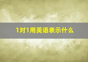 1对1用英语表示什么