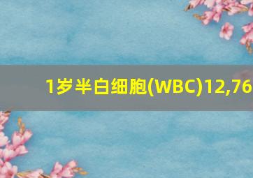 1岁半白细胞(WBC)12,76