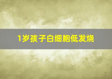 1岁孩子白细胞低发烧