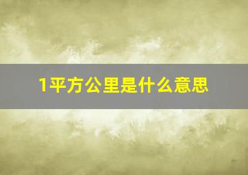 1平方公里是什么意思