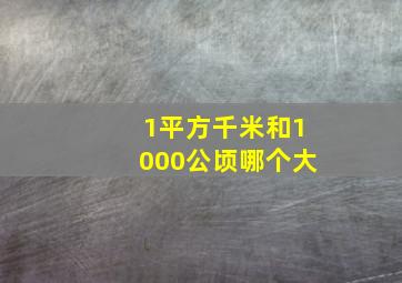 1平方千米和1000公顷哪个大