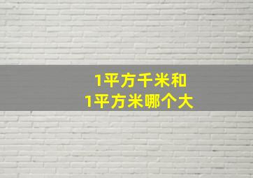 1平方千米和1平方米哪个大