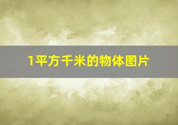 1平方千米的物体图片