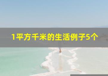 1平方千米的生活例子5个