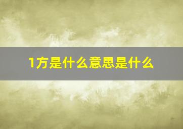 1方是什么意思是什么