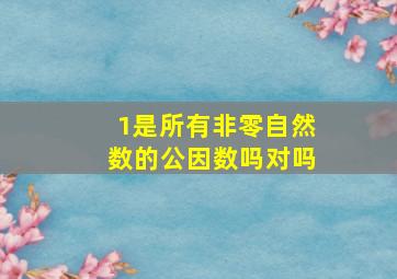 1是所有非零自然数的公因数吗对吗