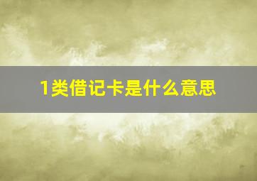 1类借记卡是什么意思