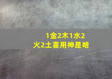 1金2木1水2火2土喜用神是啥