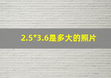 2.5*3.6是多大的照片