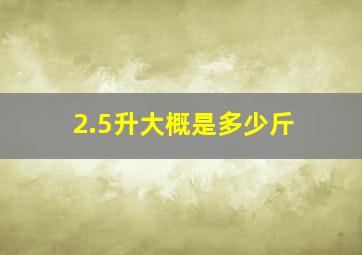 2.5升大概是多少斤