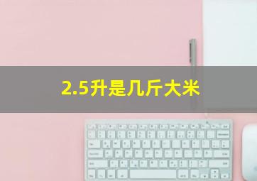 2.5升是几斤大米