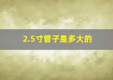 2.5寸管子是多大的