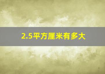 2.5平方厘米有多大