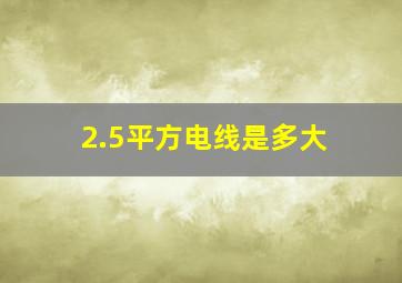 2.5平方电线是多大