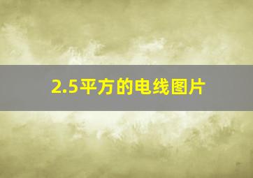 2.5平方的电线图片