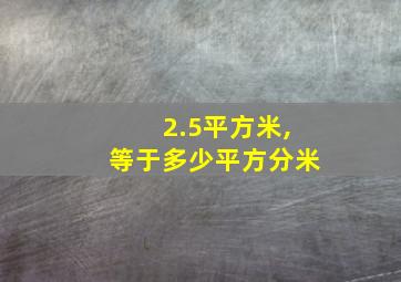 2.5平方米,等于多少平方分米