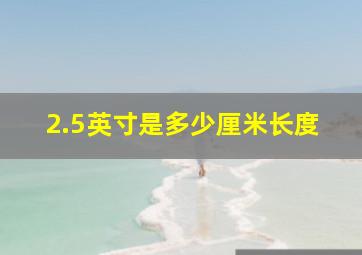 2.5英寸是多少厘米长度