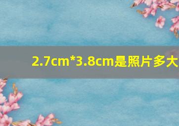 2.7cm*3.8cm是照片多大