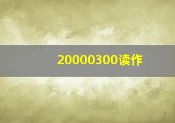 20000300读作