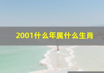 2001什么年属什么生肖