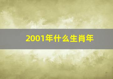 2001年什么生肖年