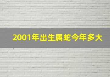 2001年出生属蛇今年多大