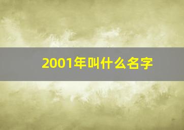 2001年叫什么名字