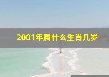 2001年属什么生肖几岁