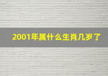 2001年属什么生肖几岁了