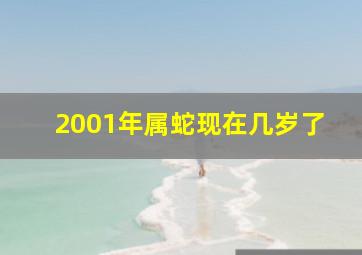 2001年属蛇现在几岁了