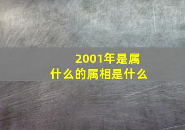 2001年是属什么的属相是什么