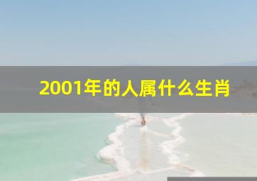 2001年的人属什么生肖