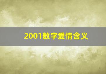 2001数字爱情含义