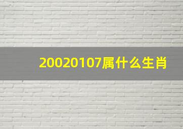 20020107属什么生肖